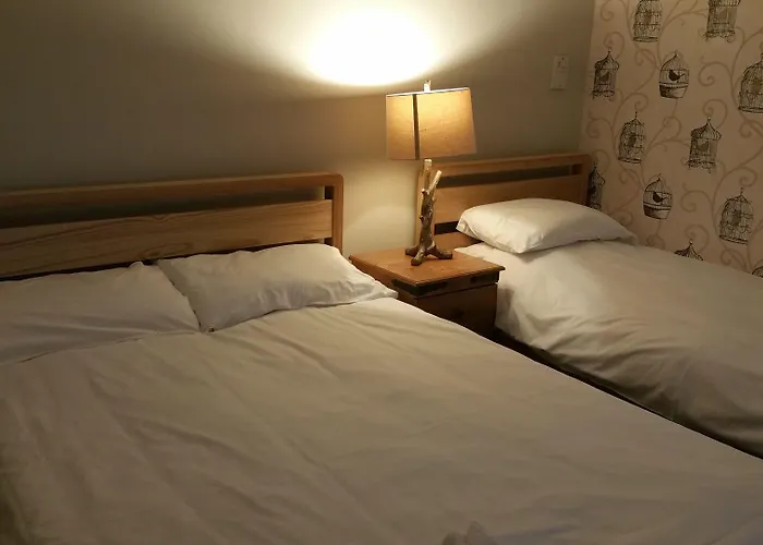 Guest house Maindee 3*