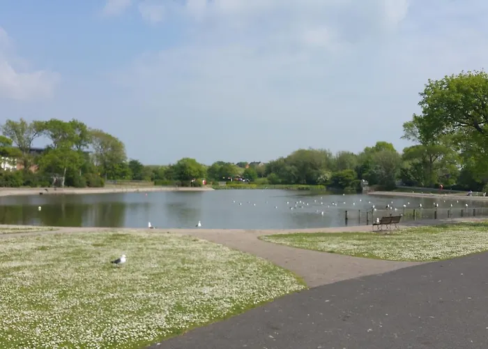 Guest house Maindee 3*