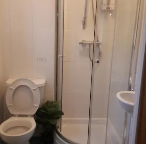 Guest house Maindee 3*